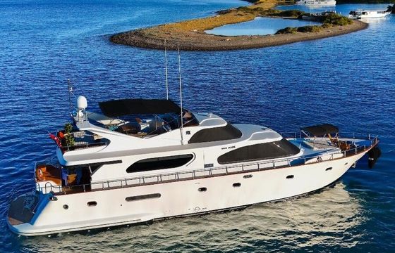 Motor yacht AYEM 2000 2700hp