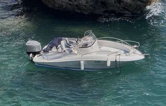 Motorboat Brunswick Corporation QuickSilver 555 commander 100hp