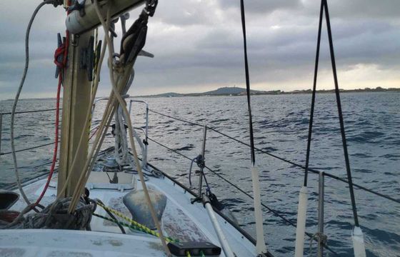 Sailboat Mallard sloop 8.5m