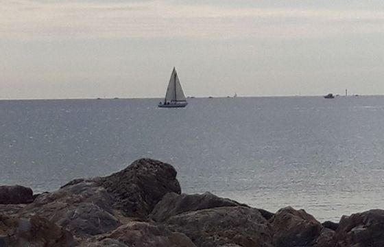 Sailboat Mallard sloop 8.5m