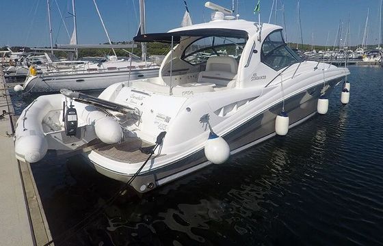 Motorboat SEA RAY 455 956hp
