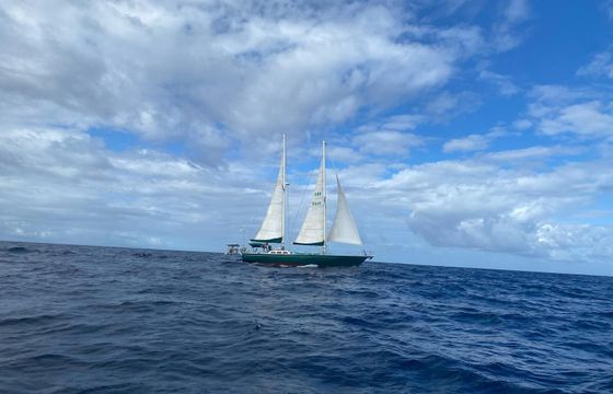 Sailboat Southern Ocean Ocean60 19m