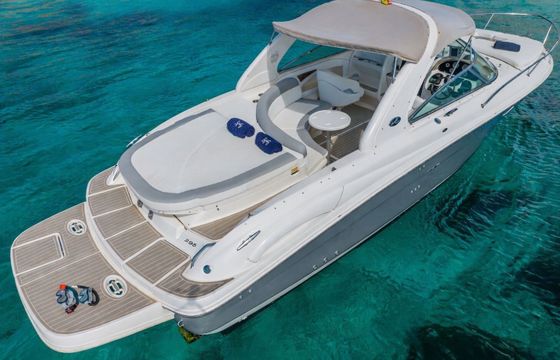 Motorboat Sea Ray 295 380hp