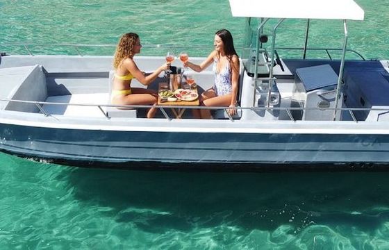 Motorboat CONERO BREEZE 8.20 225hp