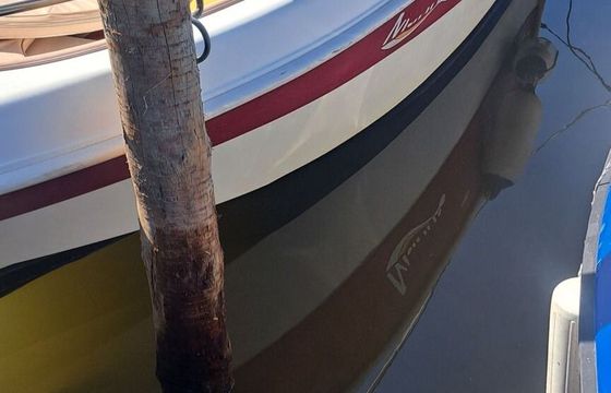 Motorboat Marinello Fischerman 40hp