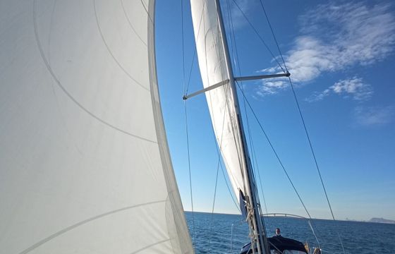 Sailboat Dufour Dufour 44 Performance 13.67m