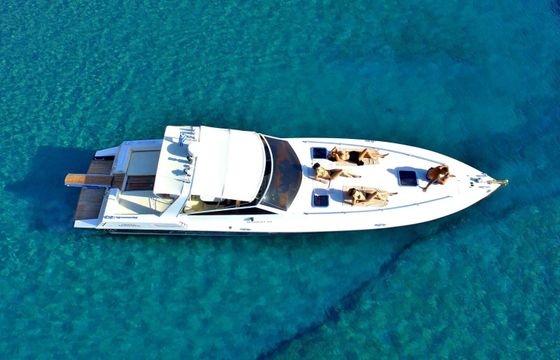 Motorboat Seagala Cigala 45ft Chania shark 45 850hp