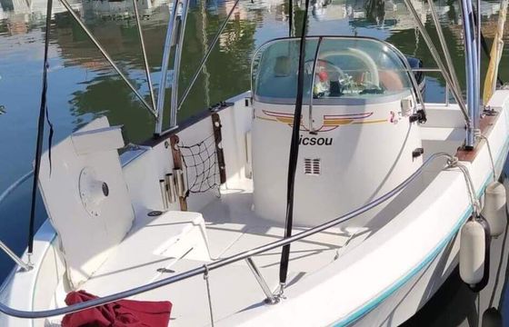 Motorboat BENETEAU BENETEAU FLYER 6M 150  EFI 150hp