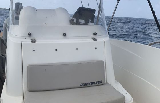 Motorboat Quicksilver Activ 505 Open 90hp