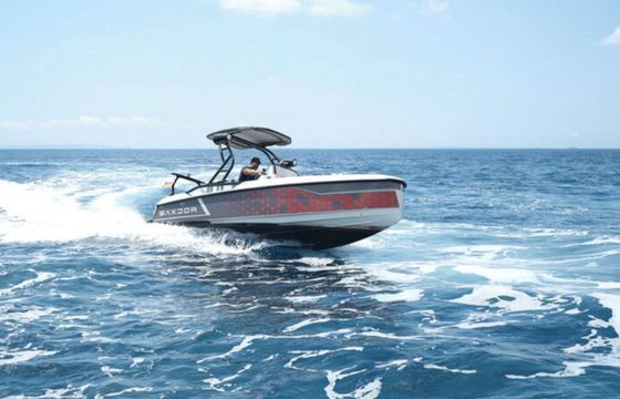 Motorboat SAXDOR SAXDOR 200 115hp