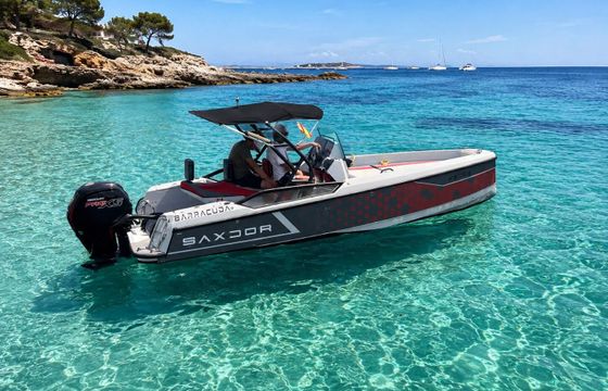 Motorboat SAXDOR SAXDOR 200 115hp