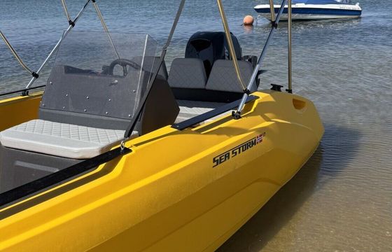 Motorboat Seastorm 17 Advantage 60hp