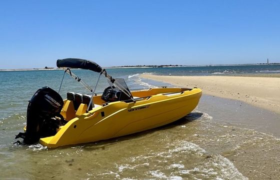 Motorboat Seastorm 17 Advantage 60hp