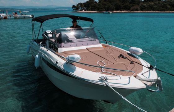 Motorboat ATLANTIC MARINE SUN CRUISER 730 SUN CRUISER 730 250hp
