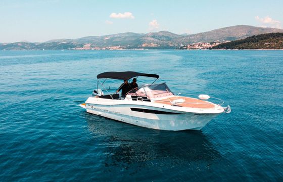 Motorboat ATLANTIC MARINE SUN CRUISER 730 SUN CRUISER 730 250hp