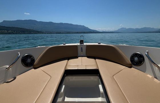 Motorboat Sea Ray SPX 210 250hp