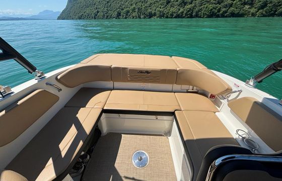 Motorboat Sea Ray SPX 210 250hp