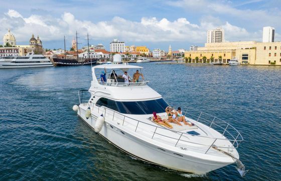 Motorboat Sea Ray Sedan Bridge 56 2000hp
