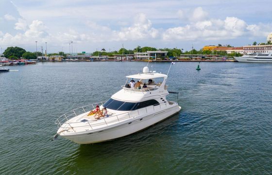 Motorboat Sea Ray Sedan Bridge 56 2000hp