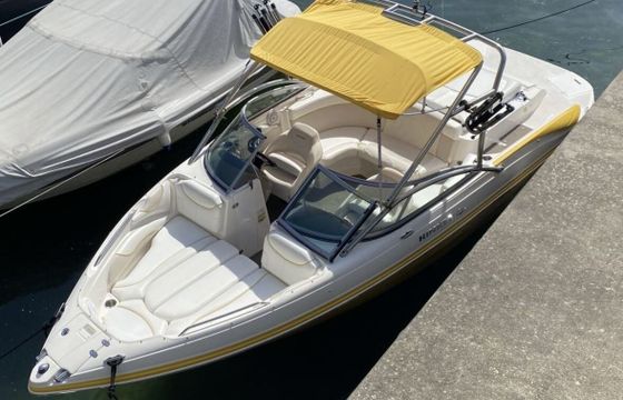 Motorboat Rinker 226 Captiva BR 300hp
