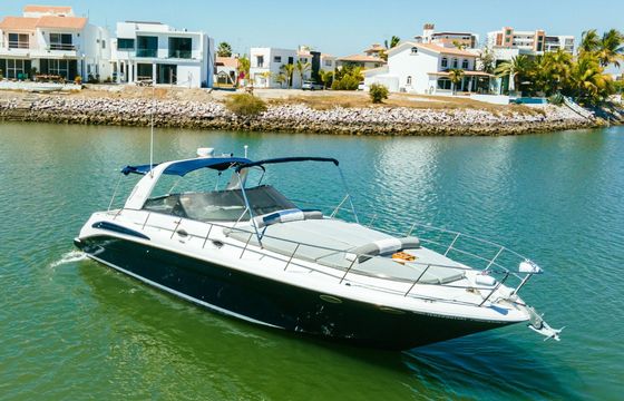 Motor yacht Sea Ray 420 760hp