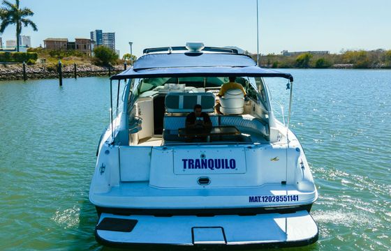 Motor yacht Sea Ray 420 760hp