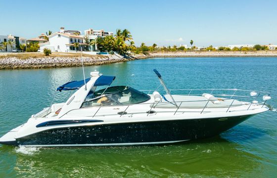 Motor yacht Sea Ray 420 760hp