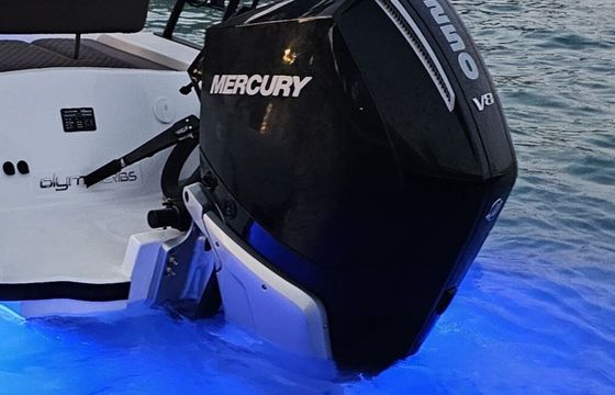 RIB Olympic Ribs "Mirabella" / Cruiser 250hp