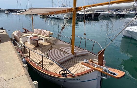 Motorboat Medvolt Marine M7 13hp