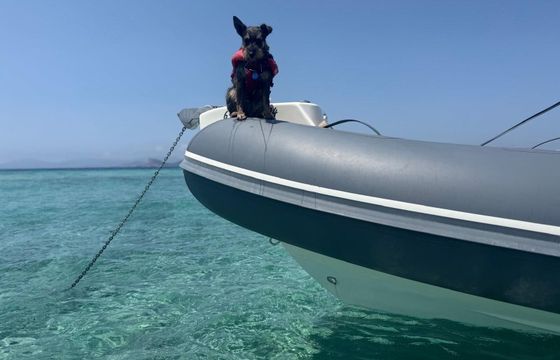 RIB Bwa 28 Sporty RIB