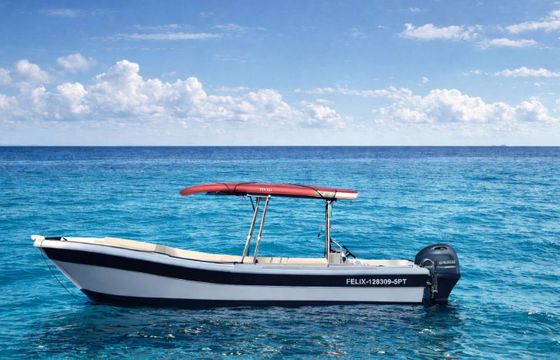 Motorboat With or without skipper 100hp