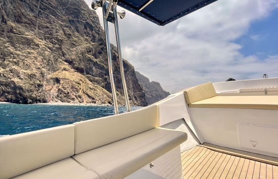Motorboat With or without skipper 100hp