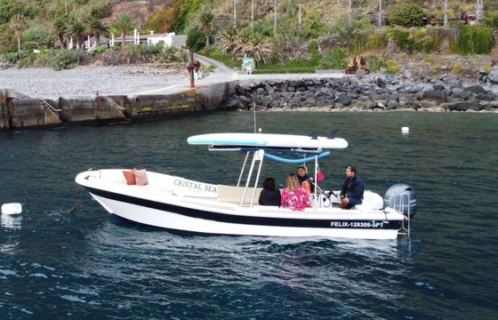 Motorboat With or without skipper 100hp