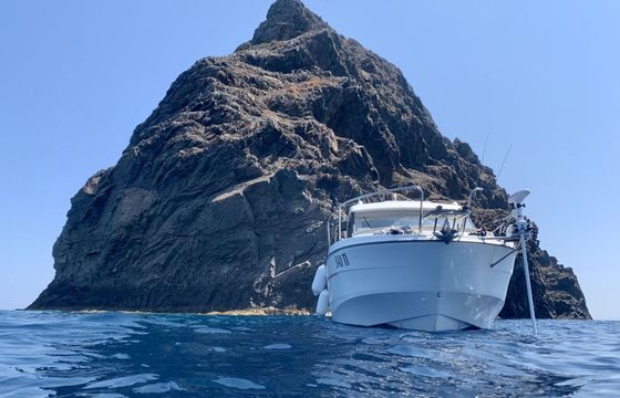 Motorboat VALFINITY I. - Beneteau Antares 8 250hp