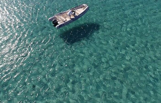 Boat without licence  Lomac Nautica 600 40hp