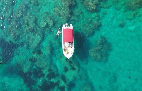 Motorboat Atlantic Marine 750 Open 150hp