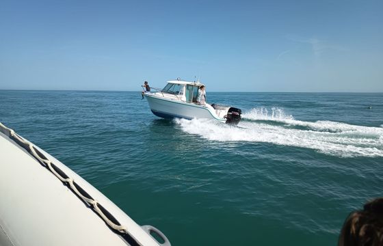 Motorboat Oqueteau 615