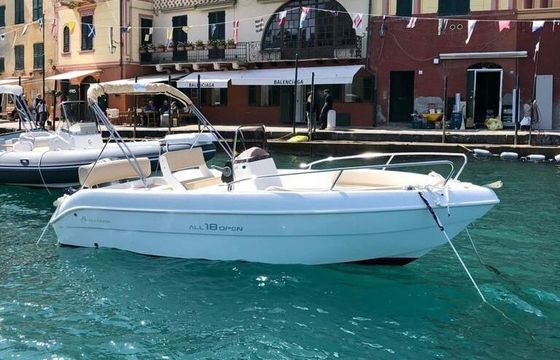 Boat without licence  nautica allegra ALL 18 OPEN 40hp