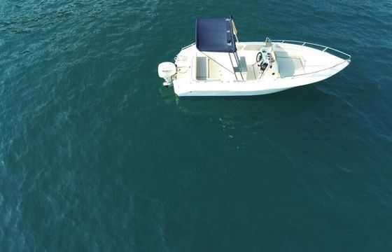 Boat without licence Romar Swan 40hp