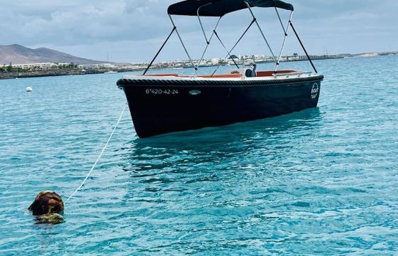 Boat without licence  Silver yacth 495 15hp