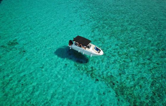Motorboat Quicksilver Activ 755 Open 300hp