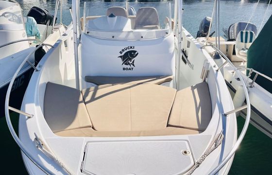 Motorboat Jeanneau Cap Camarat 6.5 Cc 150hp