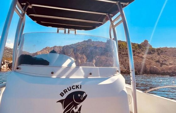 Motorboat Jeanneau Cap Camarat 6.5 Cc 150hp