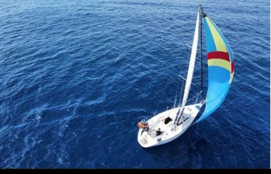 Sailboat Jeanneau Sun odyssey 31 9.3m
