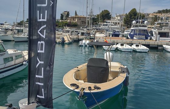 Motorboat LILYBAEUM YACHT LEVANZO 25 300hp