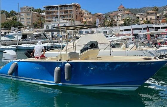 Motorboat LILYBAEUM YACHT LEVANZO 25 300hp