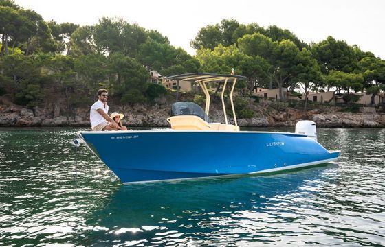 Motorboat LILYBAEUM YACHT LEVANZO 25 300hp