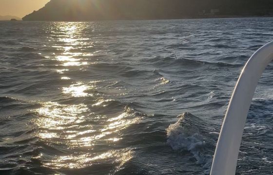 Motorboat Zodiac Medellin 115hp