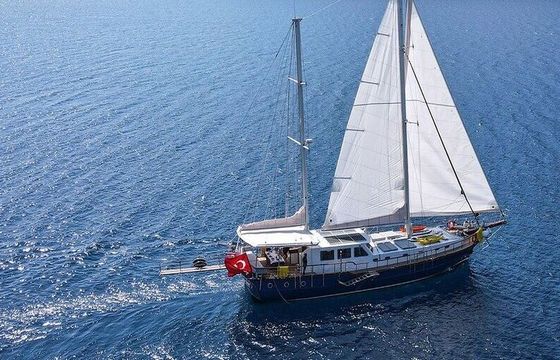 Gulet Luxury Gulet Charter Bodrum 2024 22m