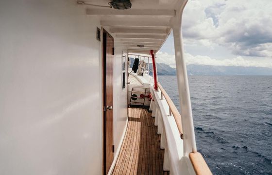 Motorboat Betina Wooden boat 530hp